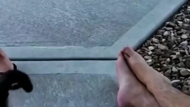 The cat was frightened