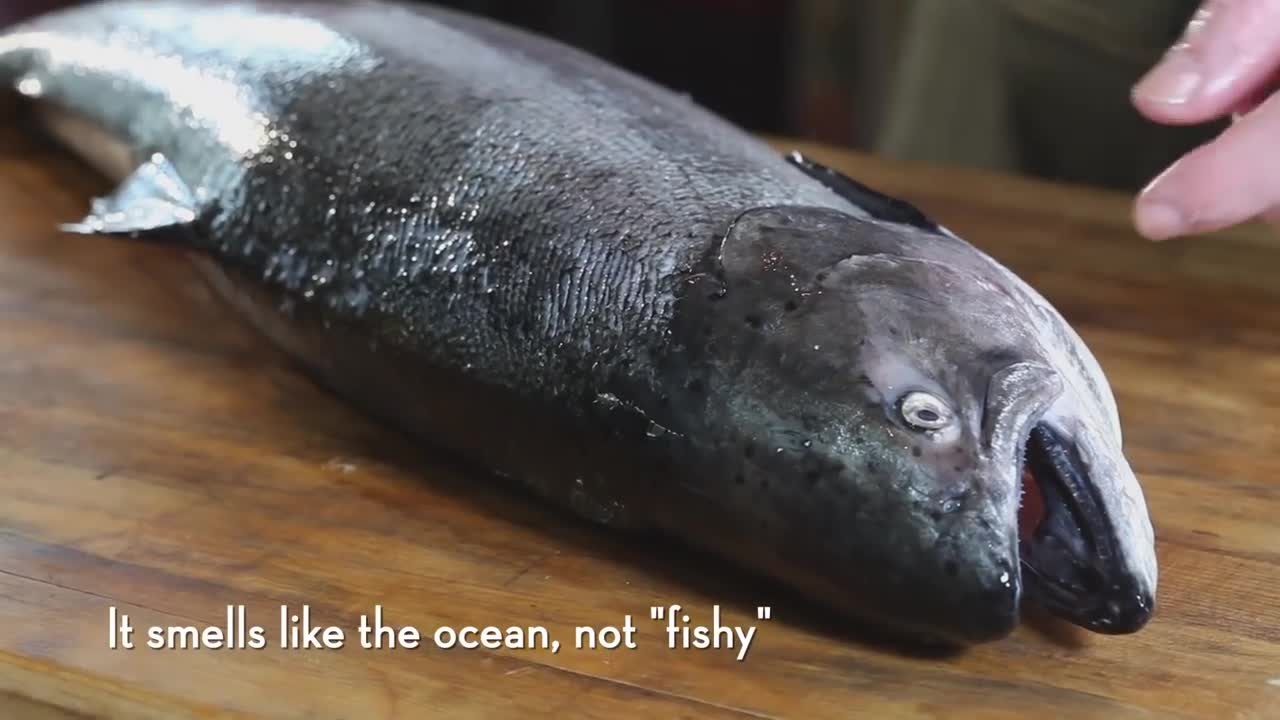 How to Prepare a Whole Fish — TerraneaLife