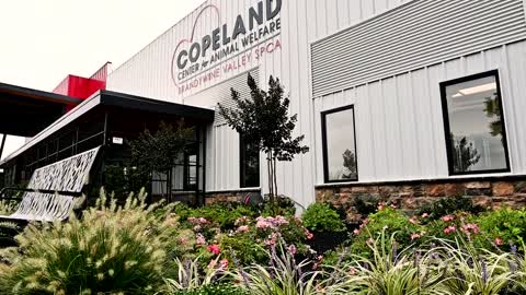 Get to Know BVSPCA Copeland Center for Animal Welfare