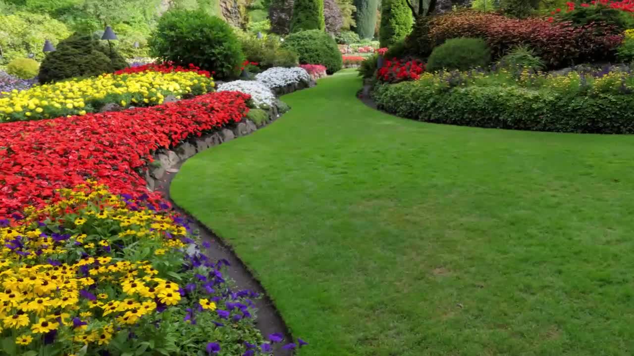 Plata's Landscaping - (770) 744-7551