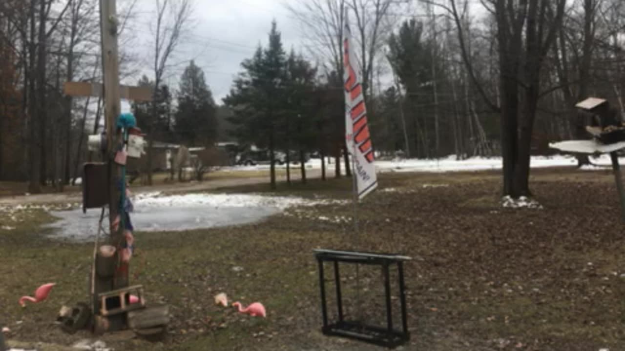Garden of weedin marijuana