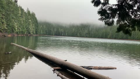 Beautiful Serene Lake – Mount Hood National Forest – Oregon – 4K