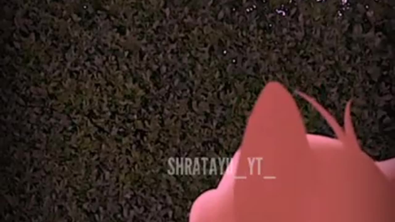 Funnycartoon video