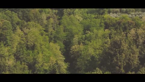 Jetson ONE - Defying Gravity