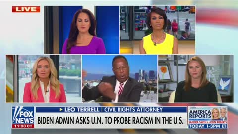 Leo Terrell criticizes UN racism investigation