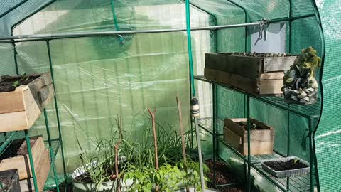 My two new Tiny greenhouses