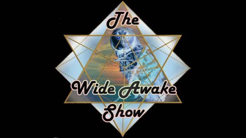 The Wide Awake Show chats with Bart Sibrel and John Hyams