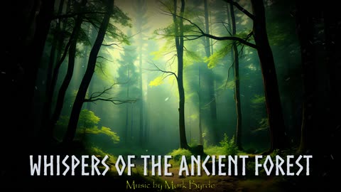 Viking Ambient Music - Whispers Of The Ancient Forest
