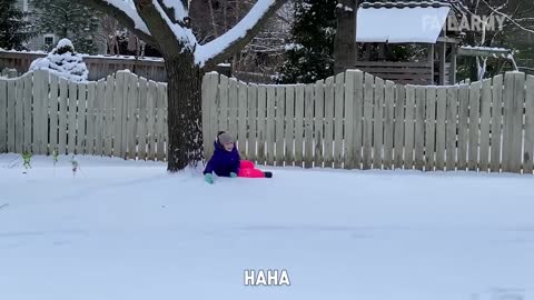 Funny Videos in the Winter