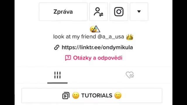TikToková Svatba dneska 25.7. v 19h u 🇨🇿 zveme všechny 💒