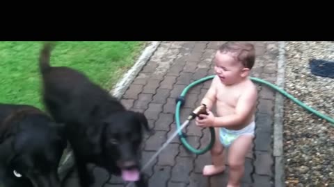 Dogs comedy 😂 || baby comedy 😂🤣