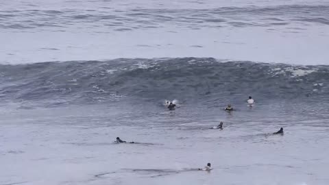 Crowd Pleasing Uluwatu