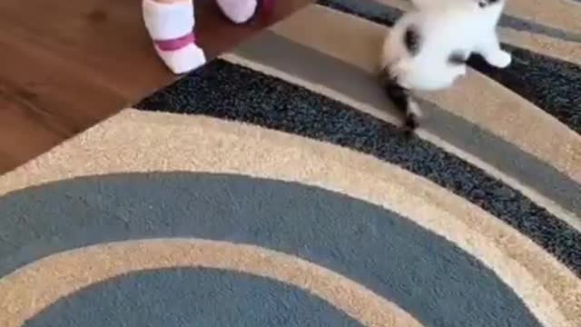 adorable baby plays with kitten