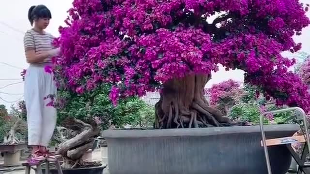 Vặt đến bao giờ