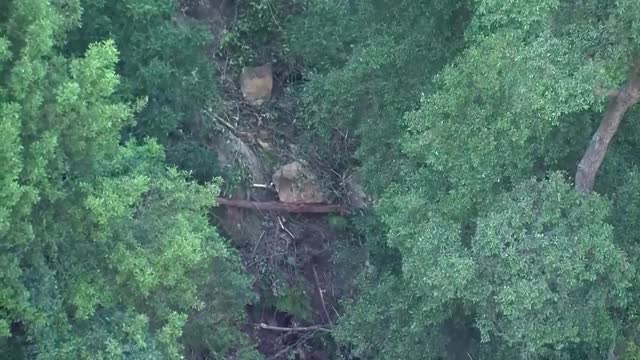 Bodies of UK father, son killed in Aus landslide recovered