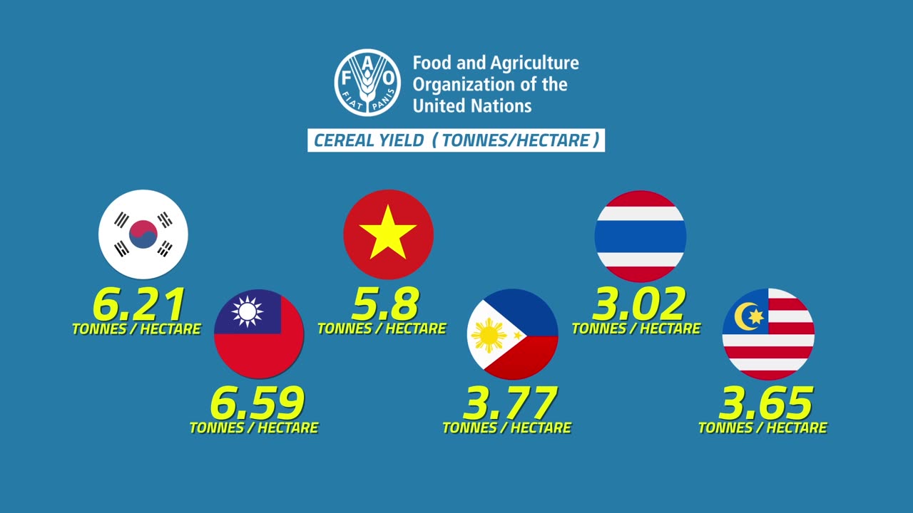 The Miracle Plan That Built Vietnam's Economy