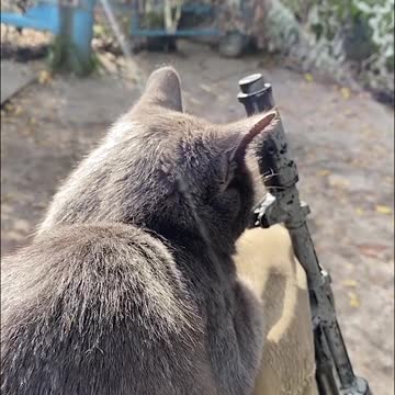 At the beginning of the war, Russian propagandists were spreading fake news about biological weapons