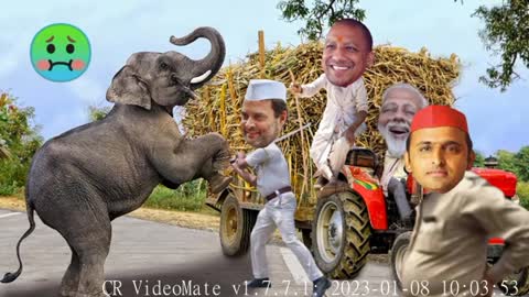 मोदी जी के गन्ने खा गया हाथी योगी जी ने बुलाई पुलिस Elephant comedy video funny video