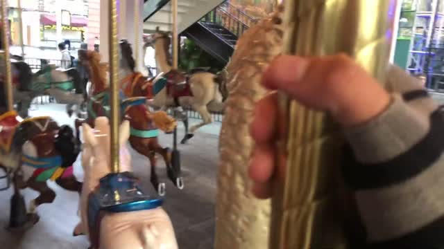 California’s Great America WinterFest Another Carousel Columbia Ride 12月2日2022年