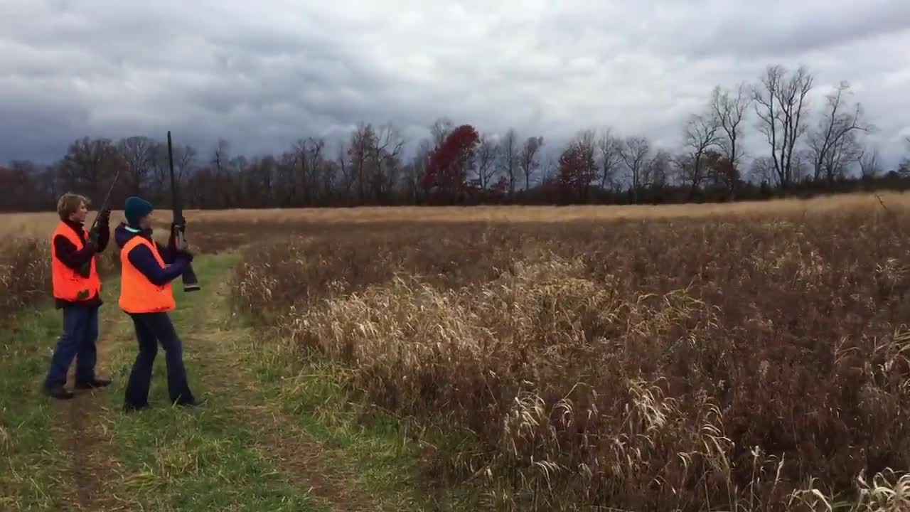 Erin - Pheasant
