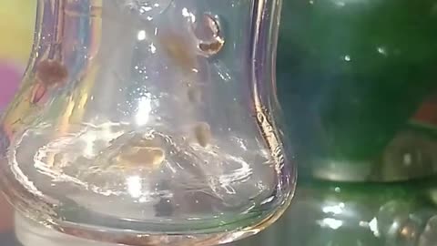 😍SLAPZ LIVE SUGAR - KLEIN RECYCLER TERP-SLUPER MELT 😍