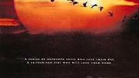 Fly Away Home; Positive Movie Review!