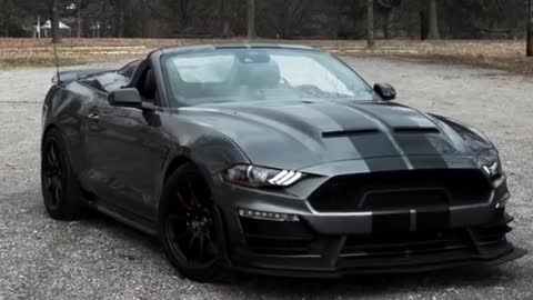 Who buys you "# car points # Shelby # Mustang # car