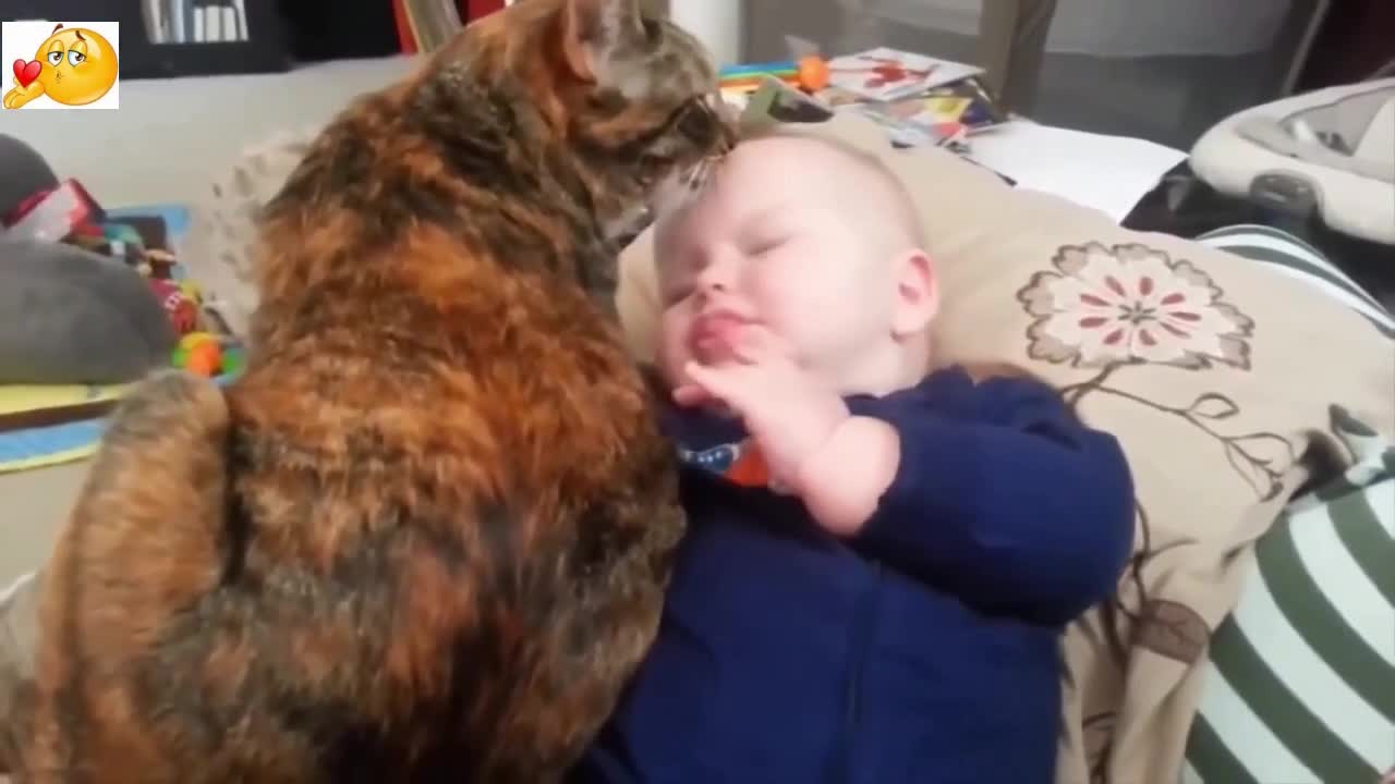 Lovely cat make baby feel relax in my house