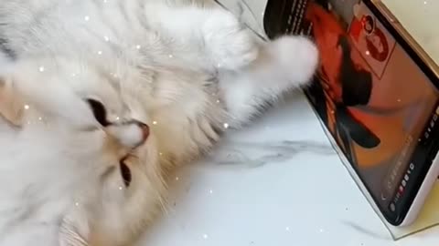 Her addicted to it