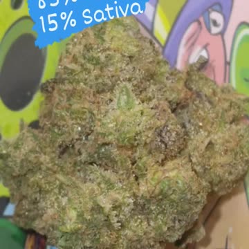 BLUE MAGGOO Flower By Grow West Cannabis Company Maryland Appalachian Grown Cannabis