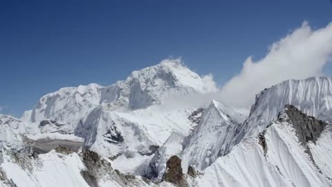 beautiful Himalayans