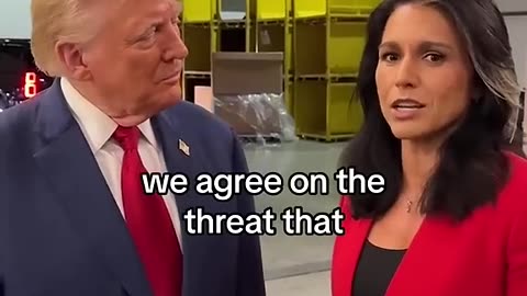 Tulsi Gabbard,donald trump