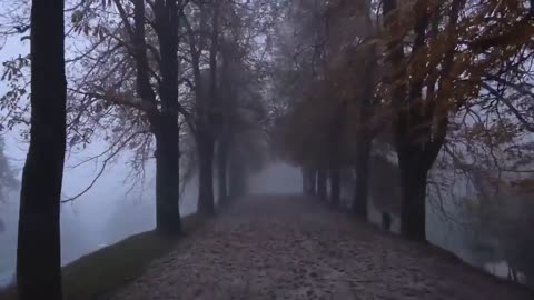 Natural scenery