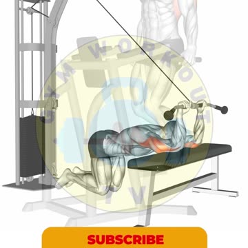 Tricep Workout #triceps #shorts #tricepsworkout #tricepsexercises