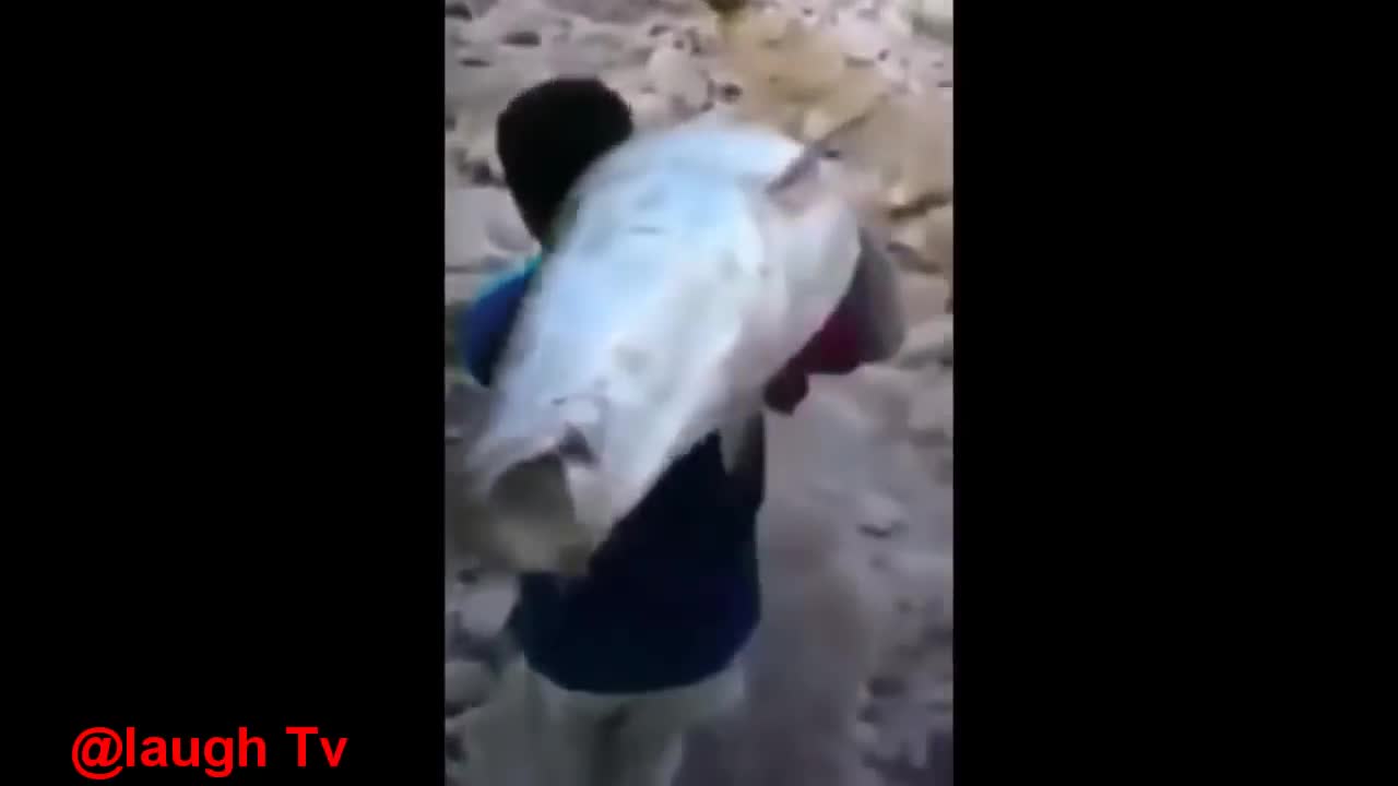 FUNNY VIDEO
