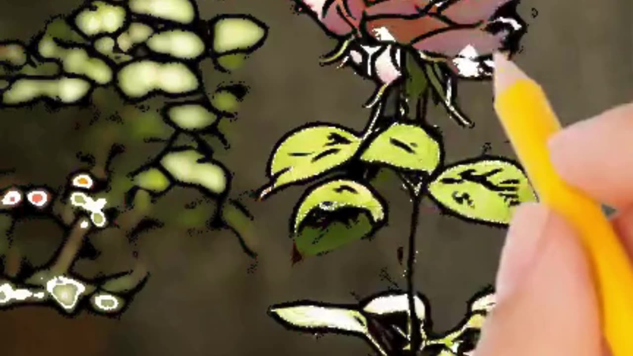 Flowers 💐 white board videos ##rumble #account #viralvideo #youtubeshorts #trendingshorts #2024