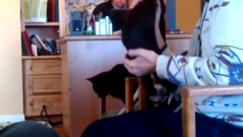 Kittens Part 5