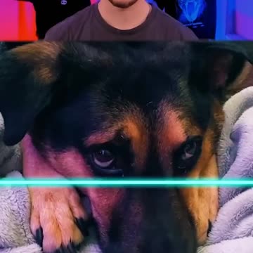 Funny animal🤣🤣see what my kids are doing