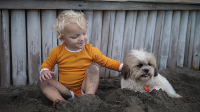 Cute blond toddler kid smiling and playing with messy white puppy sitting on the sand