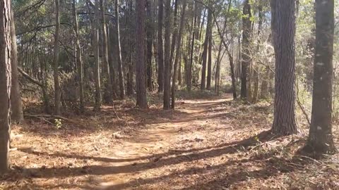 Mirror| PHARMACIA WITCHCRAFT..WHAT STARRY HEARD!!!