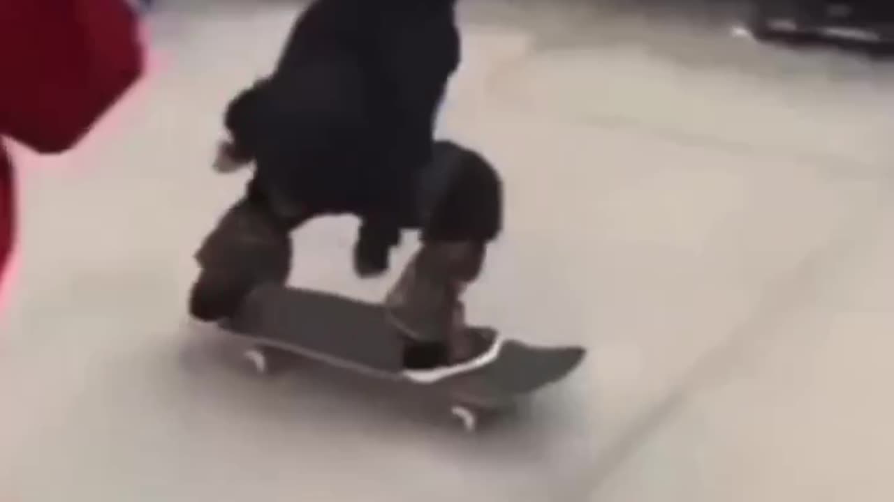 *Toyota enter the chat*