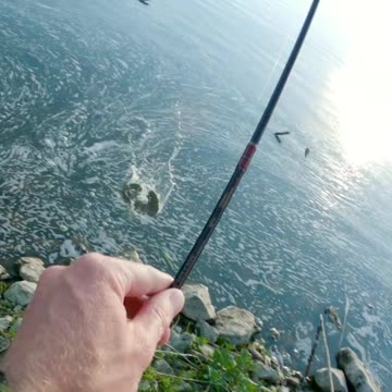 Thanks God! Bass on Strike King Pond Minnow