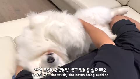 I thought all dogs like to be cuddled..._