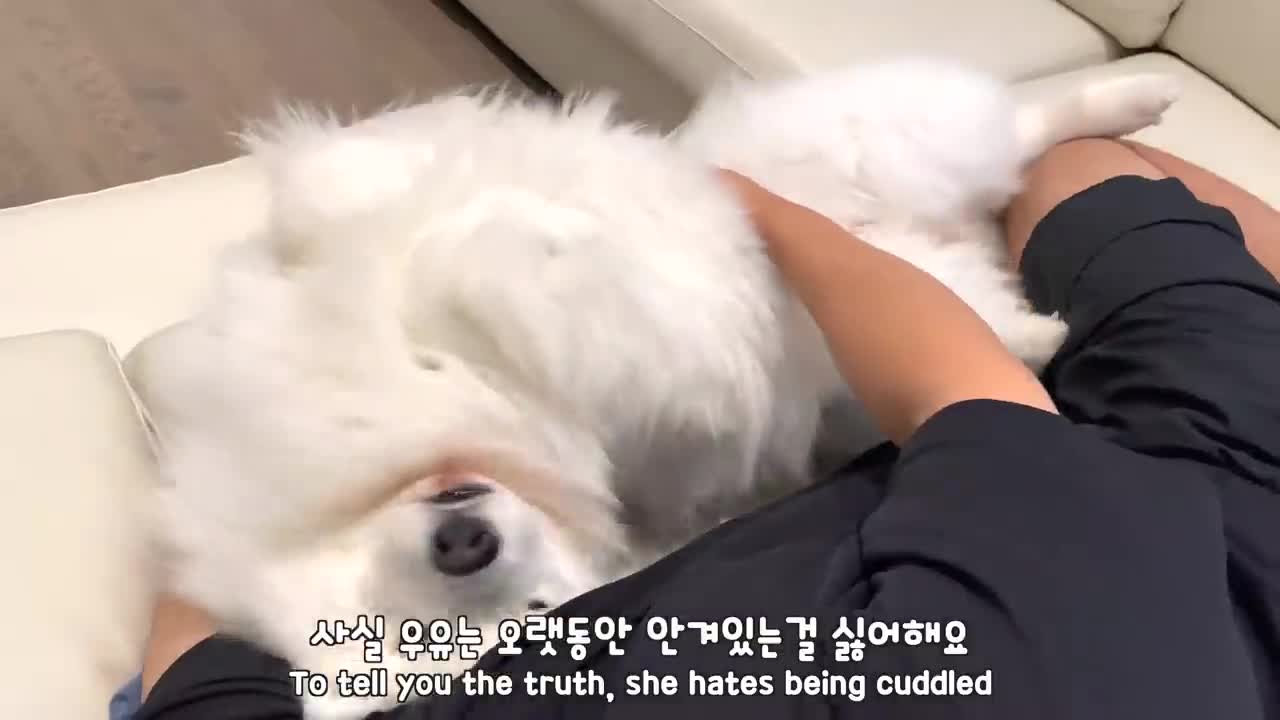 I thought all dogs like to be cuddled..._