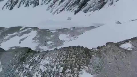 I survived 50 hours in Antarctica