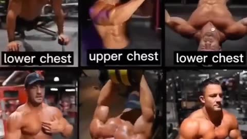 Chest workout