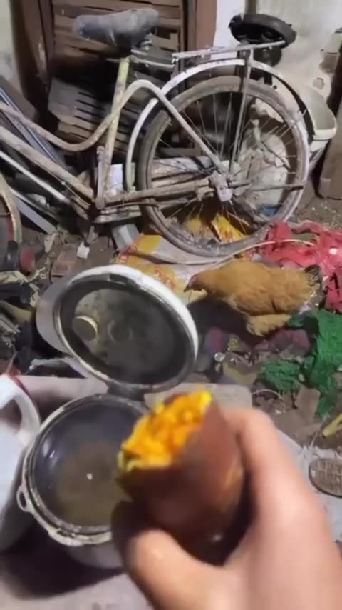 News Break: Good morning family.