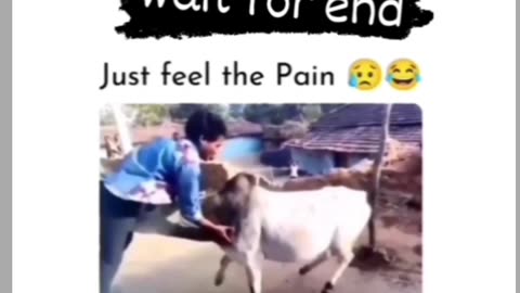 Funny videos 😂😂😂