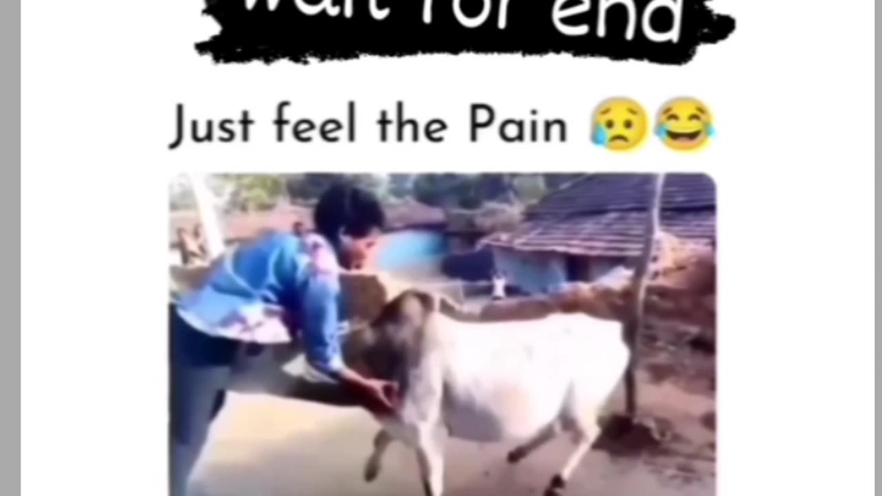 Funny videos 😂😂😂