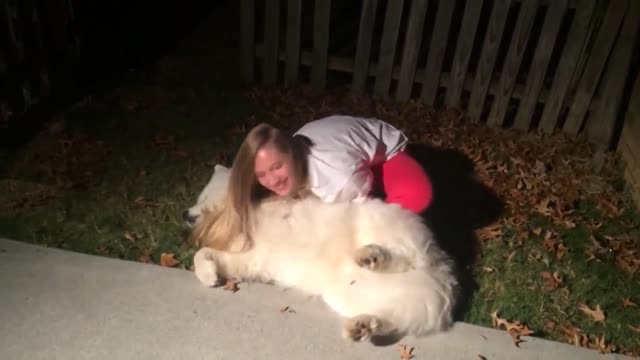 Big white dog